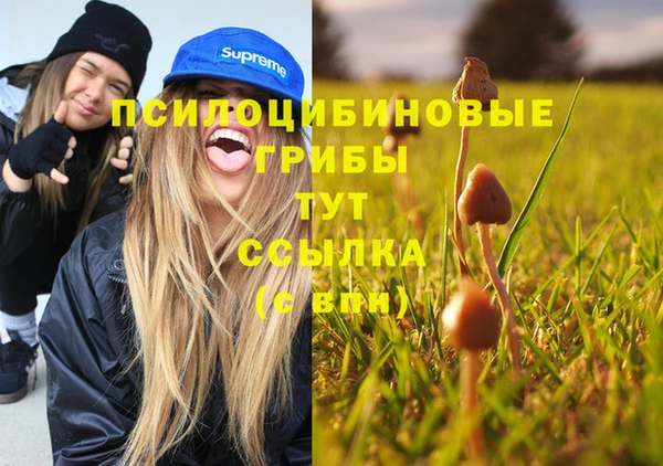 молекула духа Балабаново